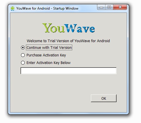 you wave activation key